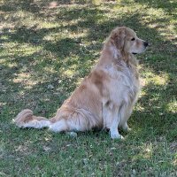 🇺🇸Bumpy7🇺🇸 (@glockytop47) 's Twitter Profile