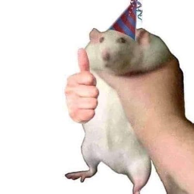 PlaChona's profile picture. 