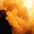 ArcFlash's profile image