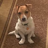 Yonash (@theyonashb) 's Twitter Profile
