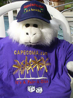 dupontsr's profile picture. Semi 2 tired CEO