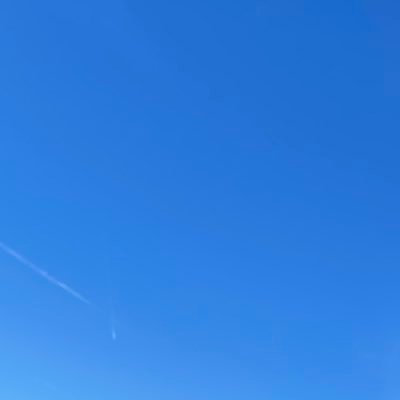 notVinceVega's profile picture. Hi