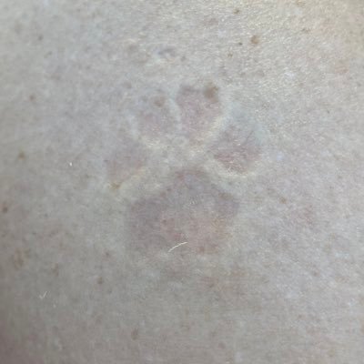 apatt_4's profile picture. 