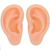 みーくん👂 (@tyuritsuosekkai) 's Twitter Profile
