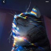 lozngr (@lozngr_art) 's Twitter Profile