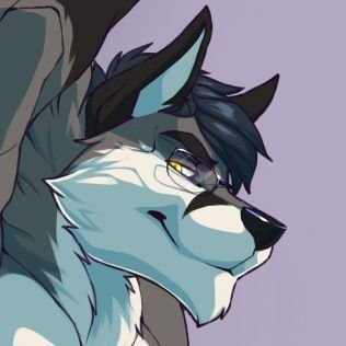 lvl 38 fox/kitsune | he/him | 🏳️🌈 🇺🇸 multiracial | RN 🦊 🏥 ☣️ | 🔞 no minors please
