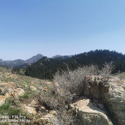 zhang69088's profile picture. 