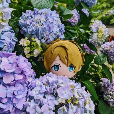 kuma_fighto's profile picture. 可愛いぬいが大好きな台湾人です。日本で推し活をしています。
成人済腐/あん⭐🌠💚翠最推し💚/🏡おとなりさん兼ペリ子🏕/雑多/誤字多い。
無言フォローすみません。