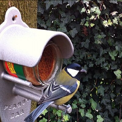 Jane Austen lijden Tegenstrijdigheid Vogelhuisjestore.nl (@vogelhuisjestor) / Twitter