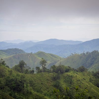 Tenstar2702's profile picture. WayV🍂 TEN❤️ WINWIN❤️