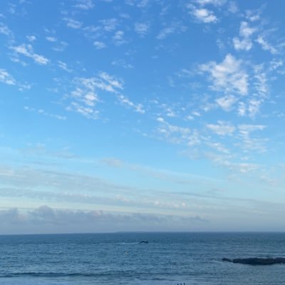 n_es_s's profile picture. 🇵🇸