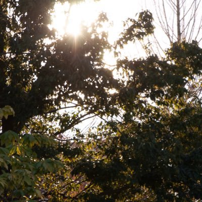 mepad_online's profile picture. 2021〜