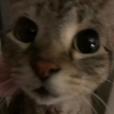 StrabsterPriv's profile picture. Private account of @Strabster. Probably won’t use it much