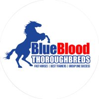 BlueBlood Thoroughbreds (@bluebloodaus) 's Twitter Profile Photo BlueBlood Thoroughbreds (@bluebloodaus) 's Twitter Profile Photo