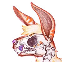 AMORDER (@amorder_1) 's Twitter Profile