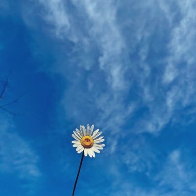 MSince2013's profile picture. 