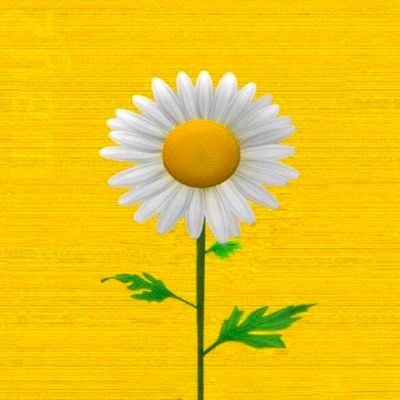 Iam_indian80's profile picture. All political parties are same
Believe yourself