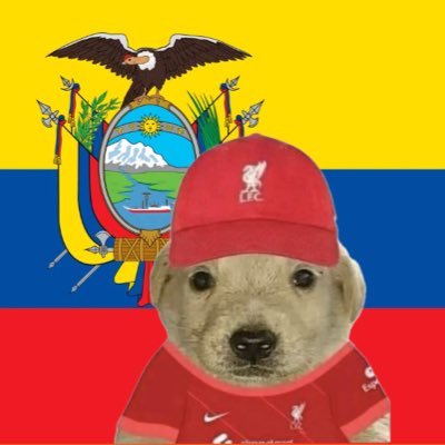 sufro por el Liverpool, los Sixers y el Deportivo Quito.