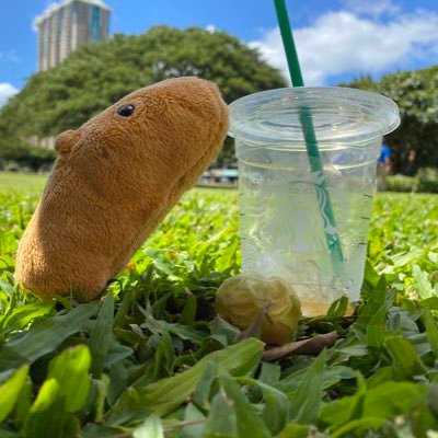 カピバラと英語学習と旅と温泉とバスケ観戦と競泳が大体を占めているアカウント。2025年は英会話を中心に勉強中。2024年12月からTeslaモデル3オーナーに。バスケ専用垢→@biceps511