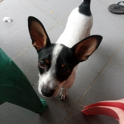 ComlexCom's profile picture. 