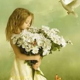 nwr63092320's profile picture. عابر سبيل