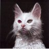 micgallegos's profile picture. Web3 and gaming.

It's 2025 and there are still no flying cars.