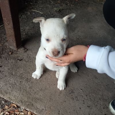 Francis64459023's profile picture. NACIDO