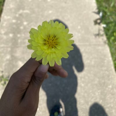 Dad1492601's profile picture. 20😶‍🌫️.      NO SNAP🕺🏾