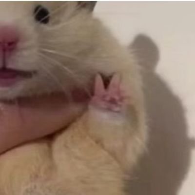 dingziwendawang's profile picture. 