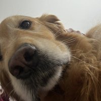 bia (@biancalehmannn) 's Twitter Profile