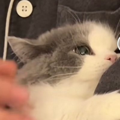 qwe37245141's profile picture. iiii m xp杂 /努力伪装成人类/偶尔发疯🌬️/wuhan