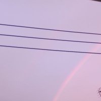 サクラ (@kbzqsfx1hylcxmr) 's Twitter Profile