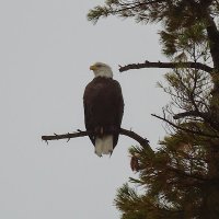 Splash8868 (@splash8868) 's Twitter Profile