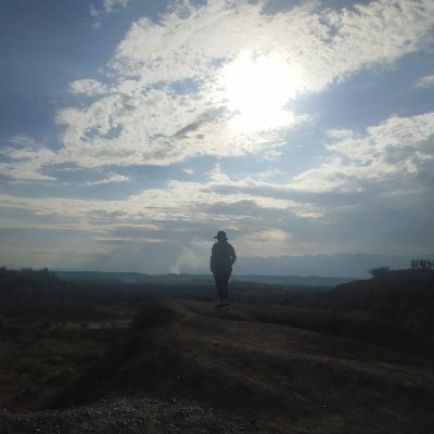 Blog personal (Diario de sugerencias, felicitaciones, quejas y reclamos)