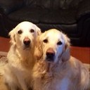 Mark Ford - @cantjoinnonames - Twitter