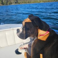 hesagoodboy (@rick25869586) 's Twitter Profile Photo hesagoodboy (@rick25869586) 's Twitter Profile Photo