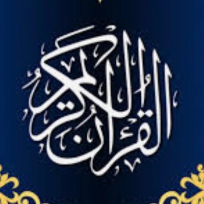 GonbeNanas34302's profile picture. 日本人 ムスリム 未熟なので信徒同胞はご指導お願いします🙇‍♂️