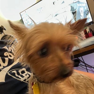 golfgirl__'s profile picture. I miss the band already. #1 @tylerthecreator stan. Twitch affiliate 🧚‍♂️. she/her #BLM. @thabiggiecheese ❣️