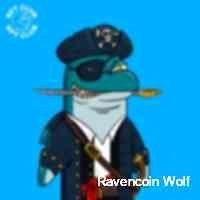 wolfwravencci_'s profile picture. Accidental alpha callers 🤪 not rugging since aug 21 ✊🏽❤️‍🔥 irony as a smokescreen 😶‍🌫️ bitcoin shittyfolio coolcats  mayc
