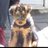 Laueemonette's profile image