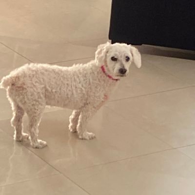 RaZamSar's profile picture. viviendo por fe ✝️