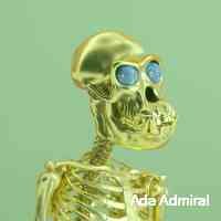 adaadmmiral's profile picture. Blockchain - building the foundation for a decentralized future