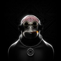 Mr.Zen (@0xzenos) 's Twitter Profile