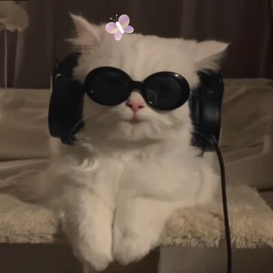 لا مُصيبة أعظم من الجهل