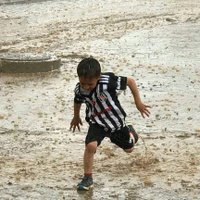 Erkan S. (@erkansc) 's Twitter Profile