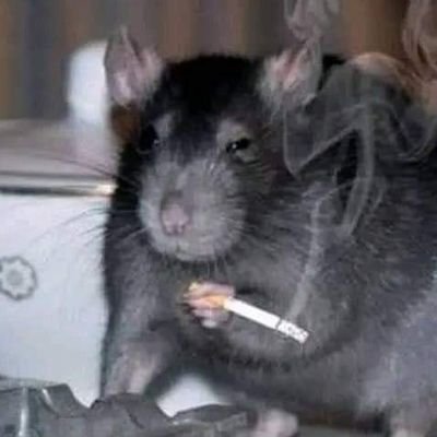 Juanjo_19900's profile picture. Vivir a costa de otros es una vergüenza. La competencia es la viva imagen de la vida misma.