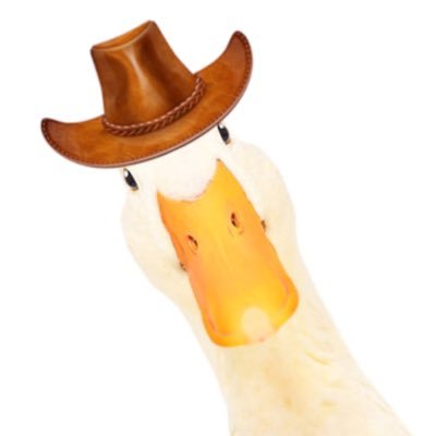 Ducky Winksさんのプロフィール画像