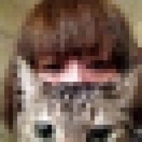 🐈……………M (@heavensdead_jpn) 's Twitter Profile Photo