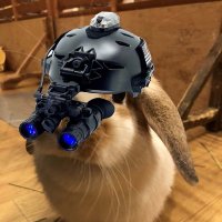 空飛ぶうさぎ🐰 (@kazunokotarako1) 's Twitter Profile