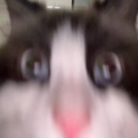 Suleee (@suleee_el) 's Twitter Profile